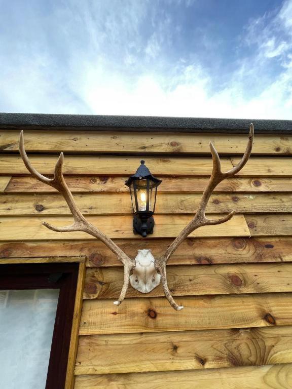 Highland Retreats Cannich Eksteriør billede